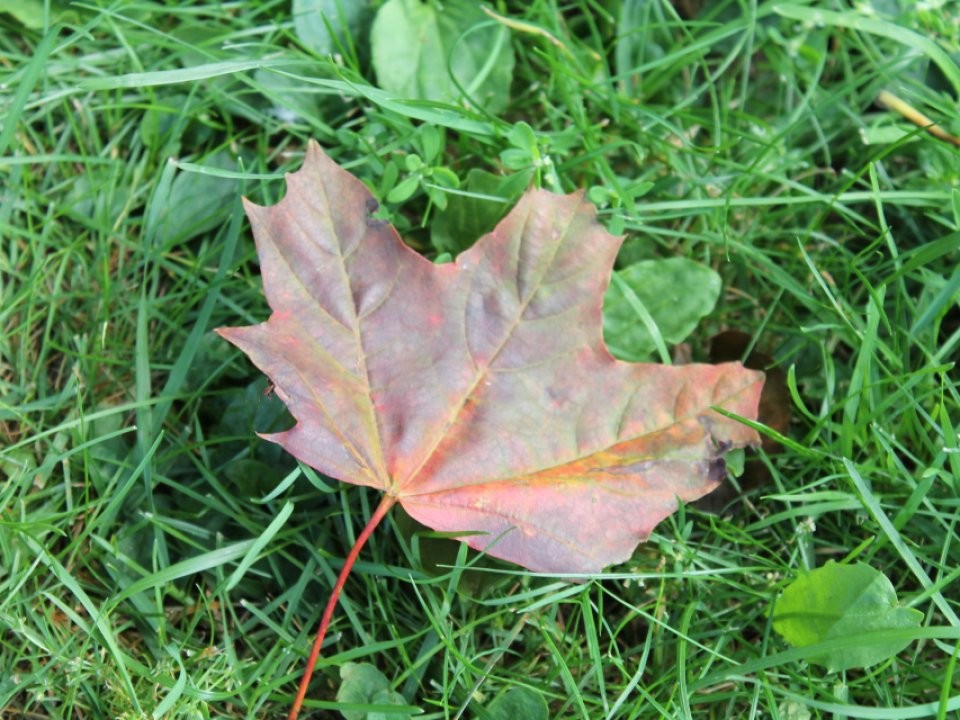 Хаки, пальто-пиджак, кружево: что будет модно осенью — 2024