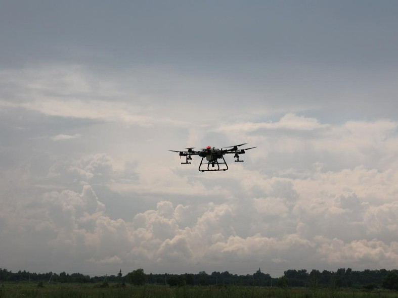 В бой пустят дроны и химию: какой план борьбы с борщевиком разработали в Подмосковье и как быть владельцам участков, захваченных сорняком