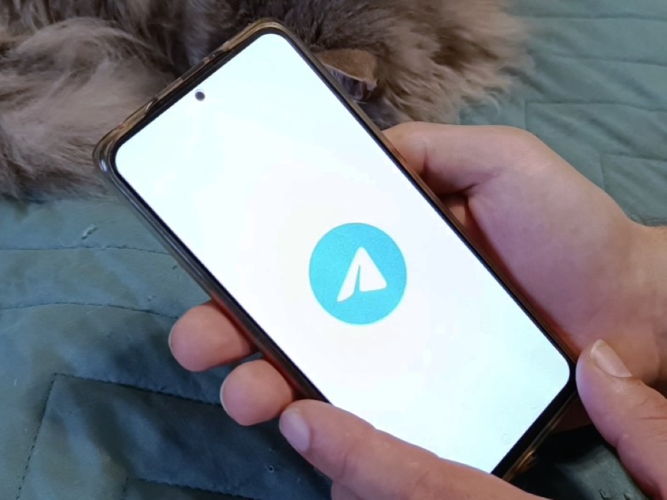 «Вам подарок!»: житель Серпухова получил «промокод» от мошенников