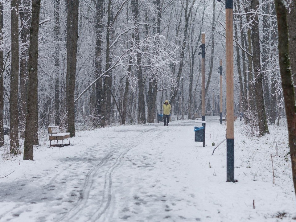 Слякоть со льдом: стылая еврозима накроет Подмосковье на неделе, по прогнозу синоптика Леуса