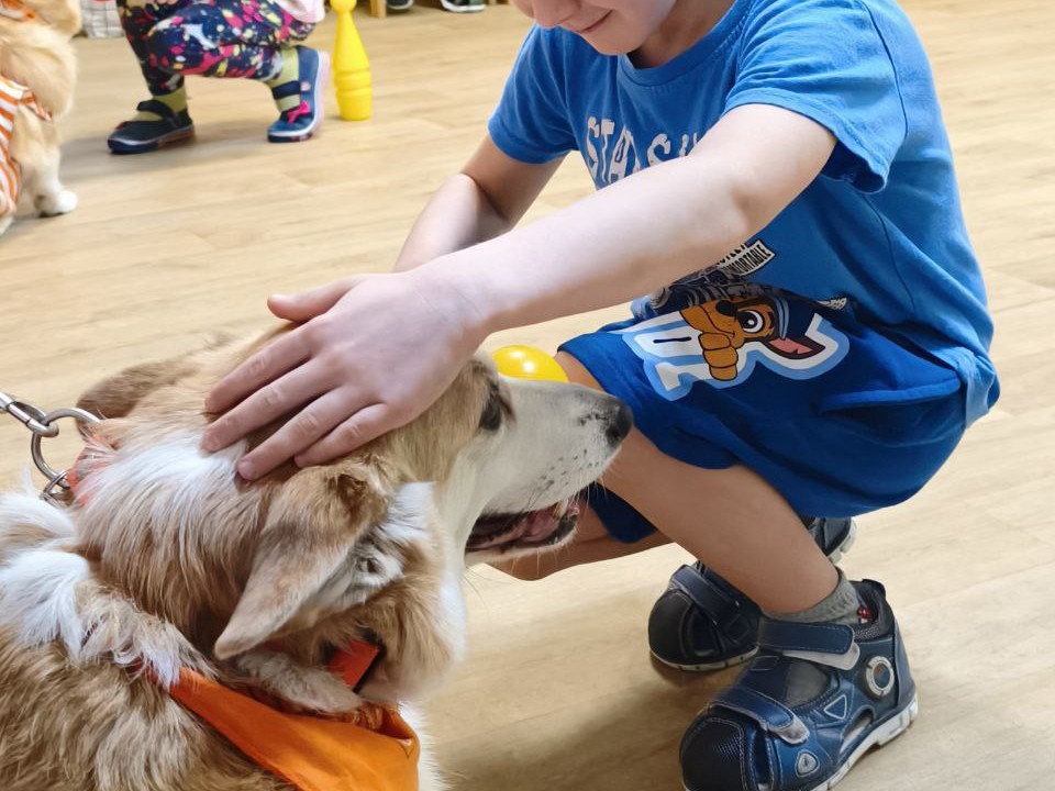 Канис-терапевты Мира и Маруся научили щелковских детей преодолевать препятствия