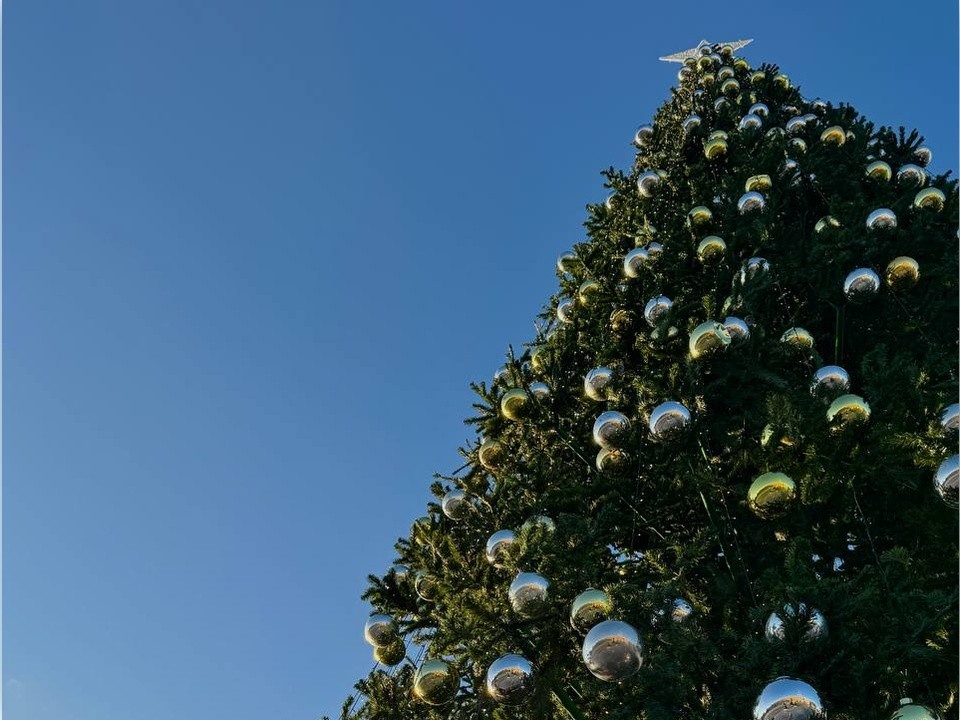 Домодедовская елка может сразиться за звание самой самобытной в стране