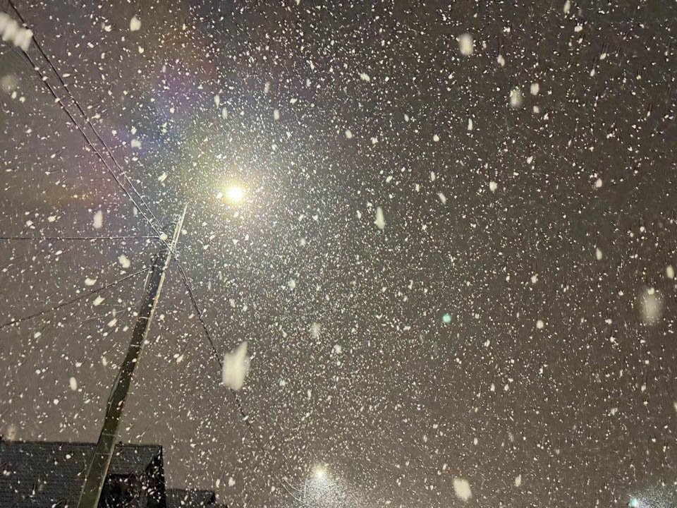 Морозы до -20° и снегопады до конца недели: синоптик рассказал о январском холоде в Подмосковье