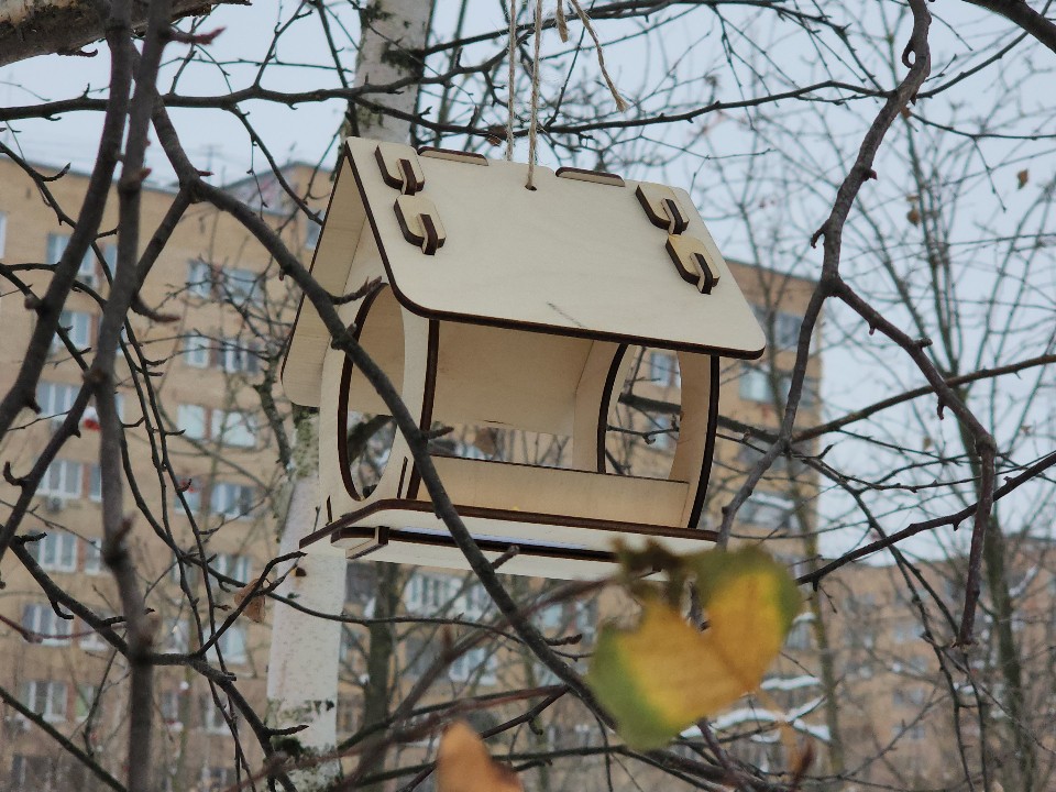 «Птичья столовая»: в школе Серебряных Прудов запустили акцию помощи пернатым