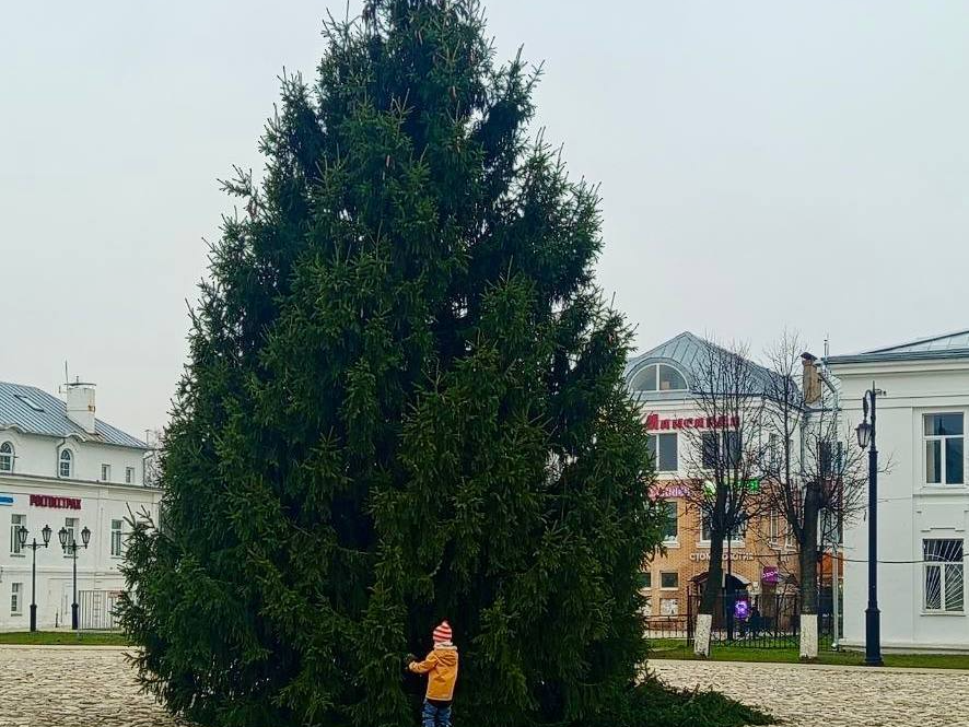 Огни на главной елке Вереи зажгут 5 декабря