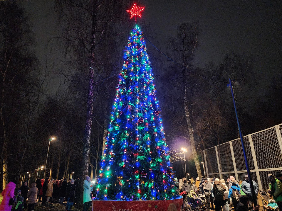 Елка зажглась фейерверком света в парке Березки