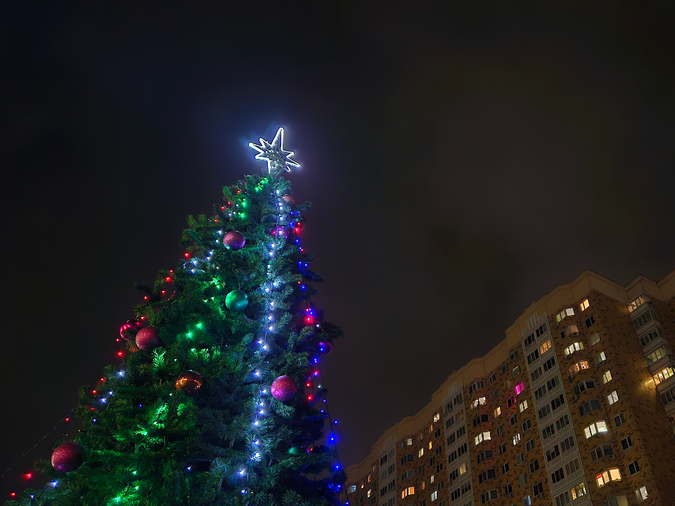 Полмиллиона рублей получат жители самого украшенного двора в Долгопрудном