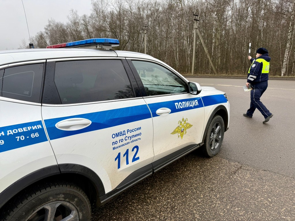 Как правильно возить детей? В Ступине проверят каждого водителя