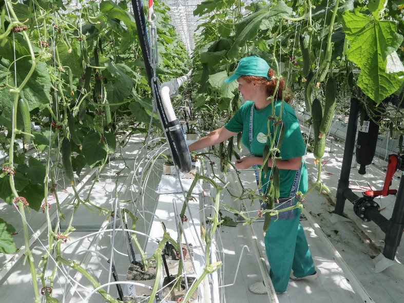 Хоть поли, хоть блог веди: куда направить энергию молодому аграрию из Подмосковья