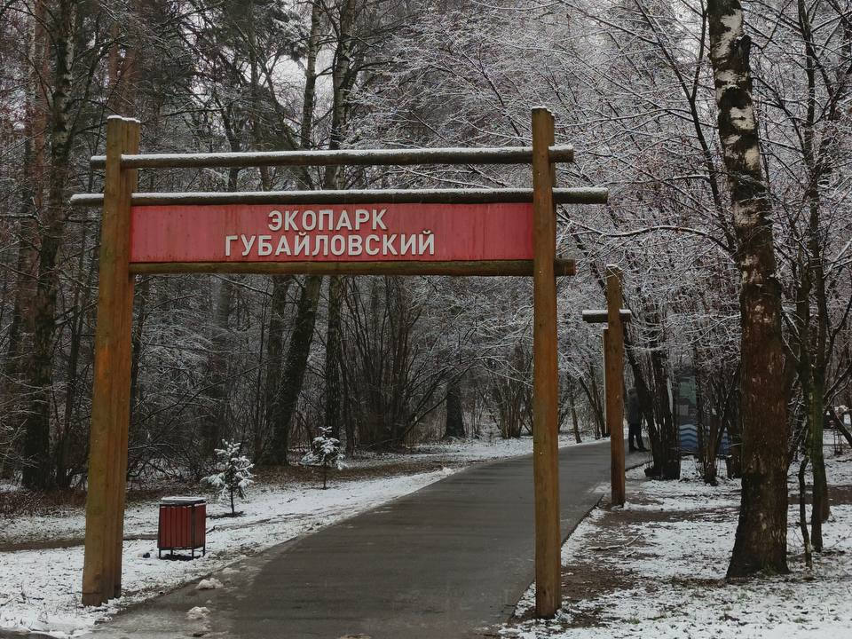 В округе зажигают новогодние елки и приглашают на мастер-классы: программа мероприятий на 6 декабря