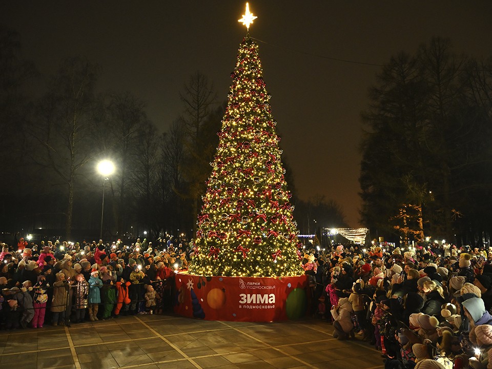Первую новогоднюю ель зажгли в Ступине