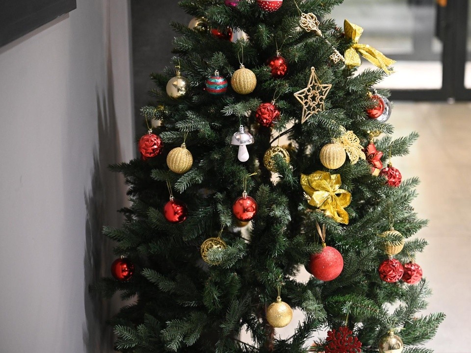 Желания детей погибшего военного исполнила предпринимательница Ленинского округа