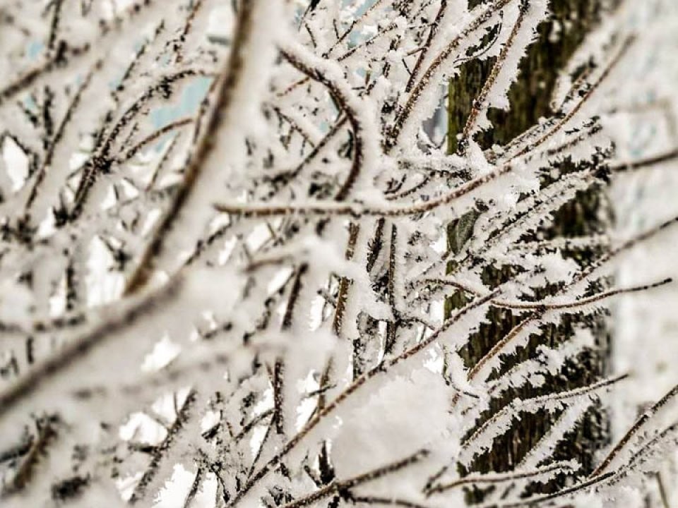 Морозы ниже -10°C со снегом обрушатся на Подмосковье: синоптики предупредили, к чему готовиться