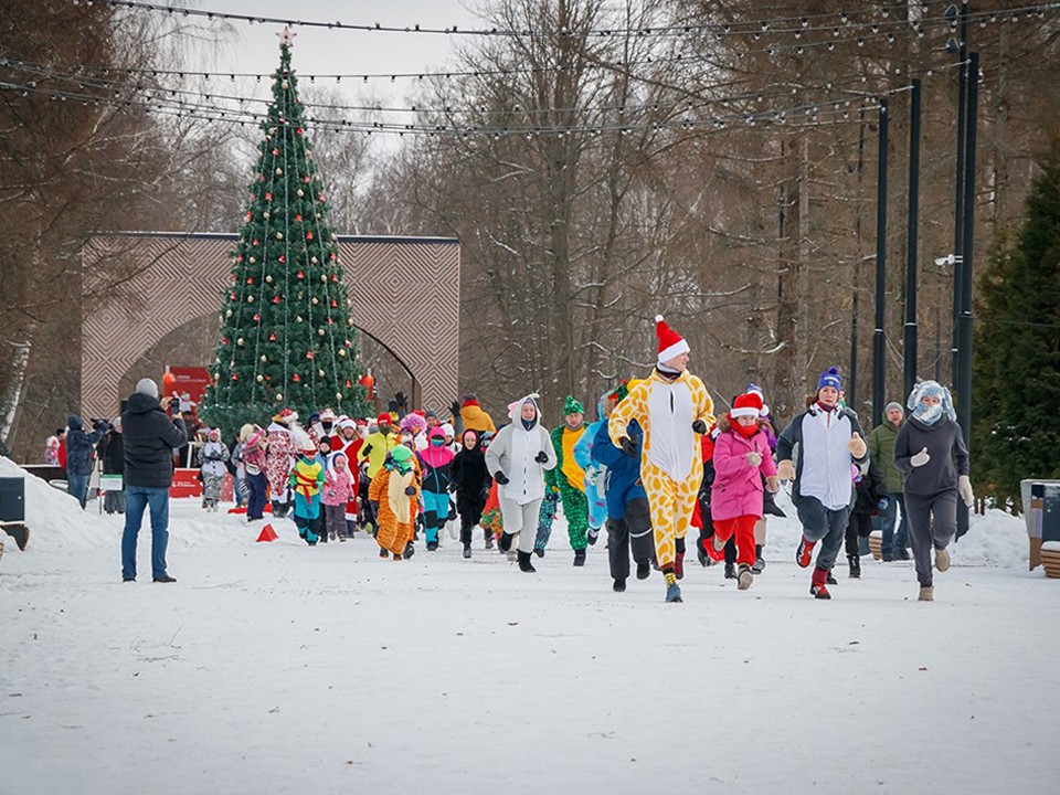 Бегать в костюмах и мастерить ангелов: куда сходить на каникулах в Ступине