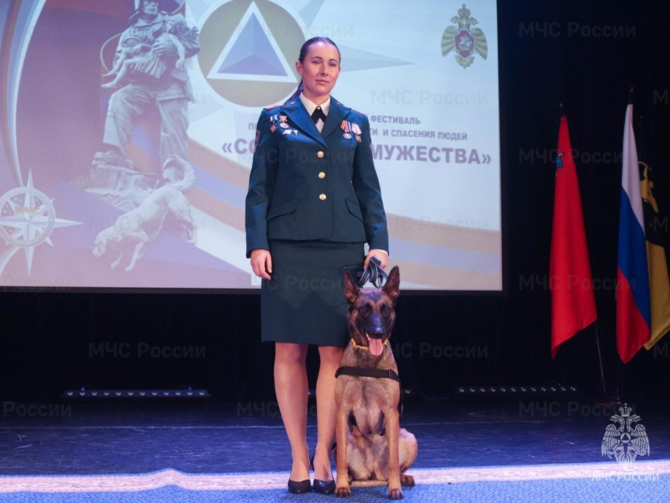 Спасли 6 тыс. человек: спасателей, кинологов и психологов наградили в Подмосковье