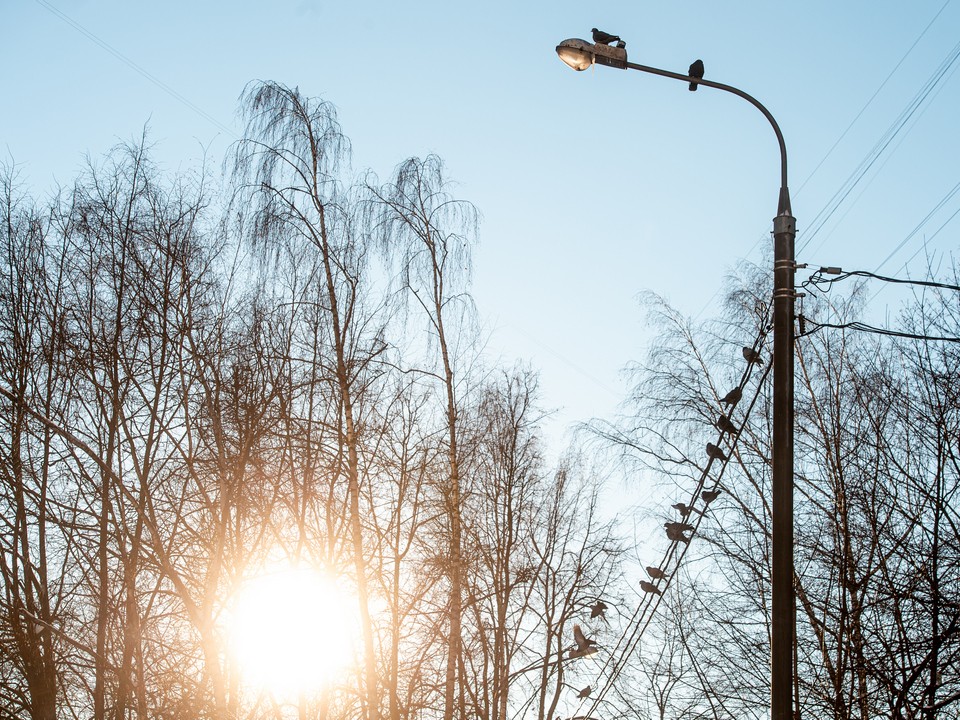 В Подмосковье экстремально потеплеет на 13 градусов