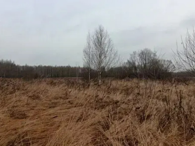 Участки для дома и бизнеса: в каких округах Подмосковья самая выгодная земля