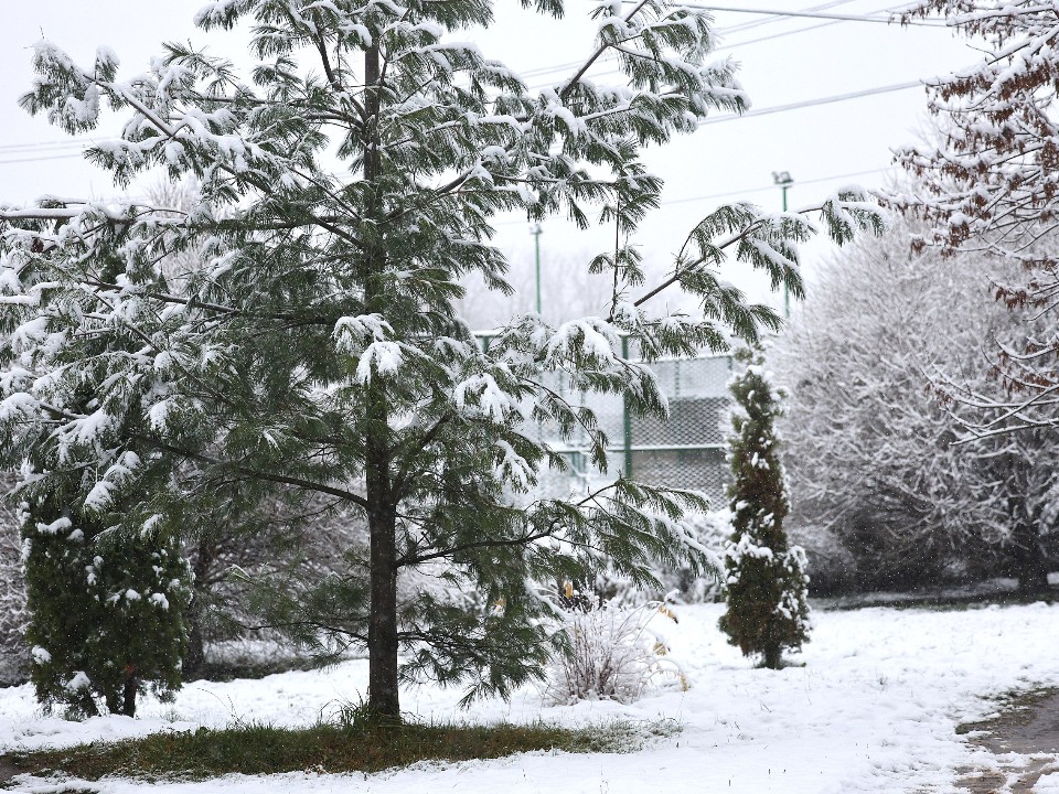 Арктический холод сковал север Подмосковья! Стало известно, в каком городе заледенело все!