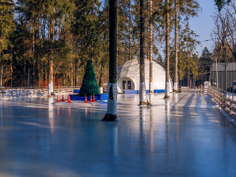 Покататься на коньках между елей и сосен можно будет в Мытищинском лесопарке с 27 декабря