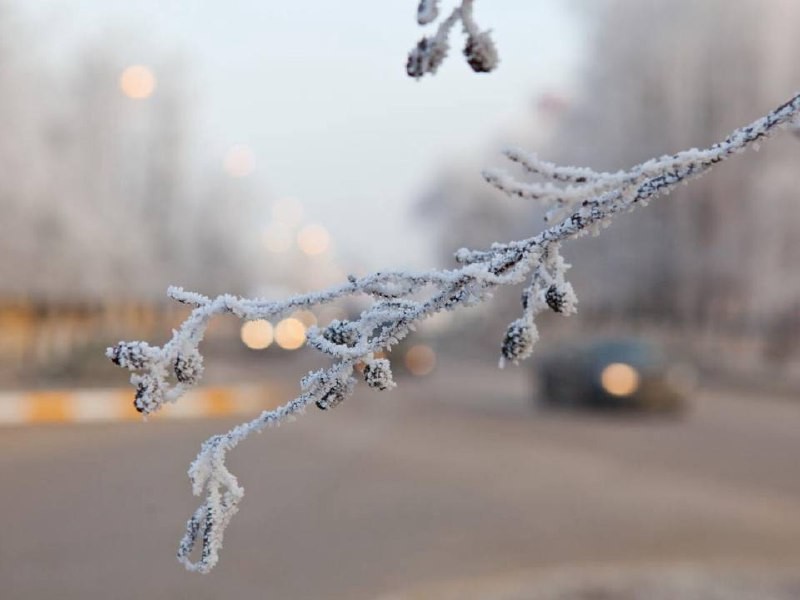 Синоптик назвал точную дату, когда Подмосковье засыпет снегом