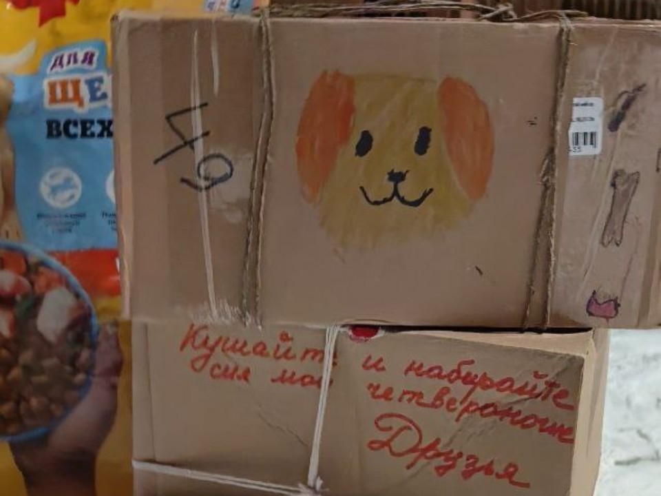 Для братьев наших меньших: дошкольники Электростали отправили гуманитарный груз в приют