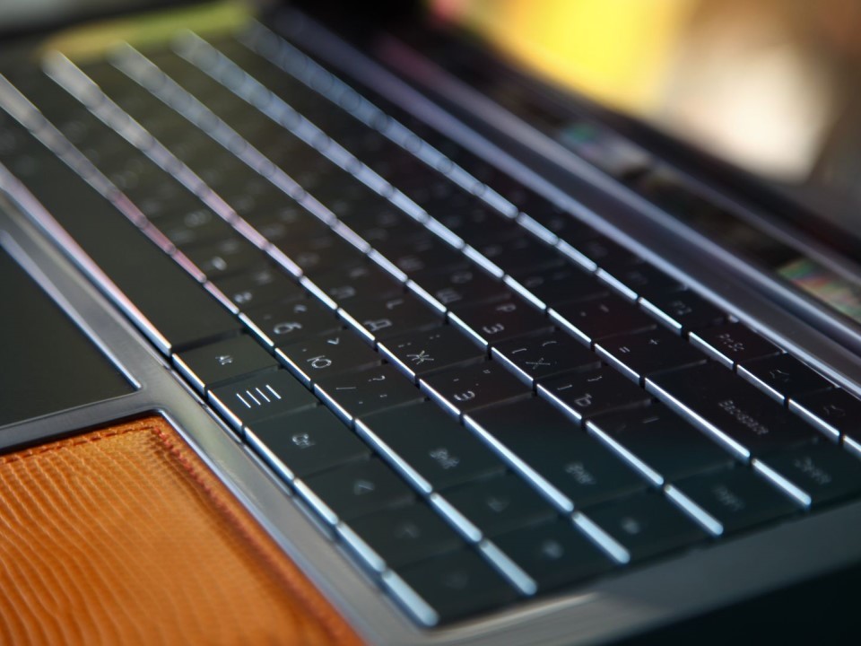 Хотите участок под дом? Смотрите торги! В Подмосковье раздают землю — подробности