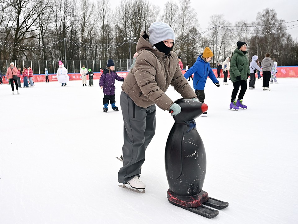 Зимние рекорды и рождественские мелодии: программа выходных в Ступине