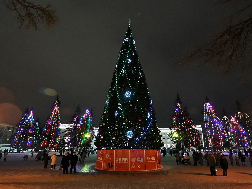 Двадцать метров праздника: когда зажгут главную ель в Ступине?