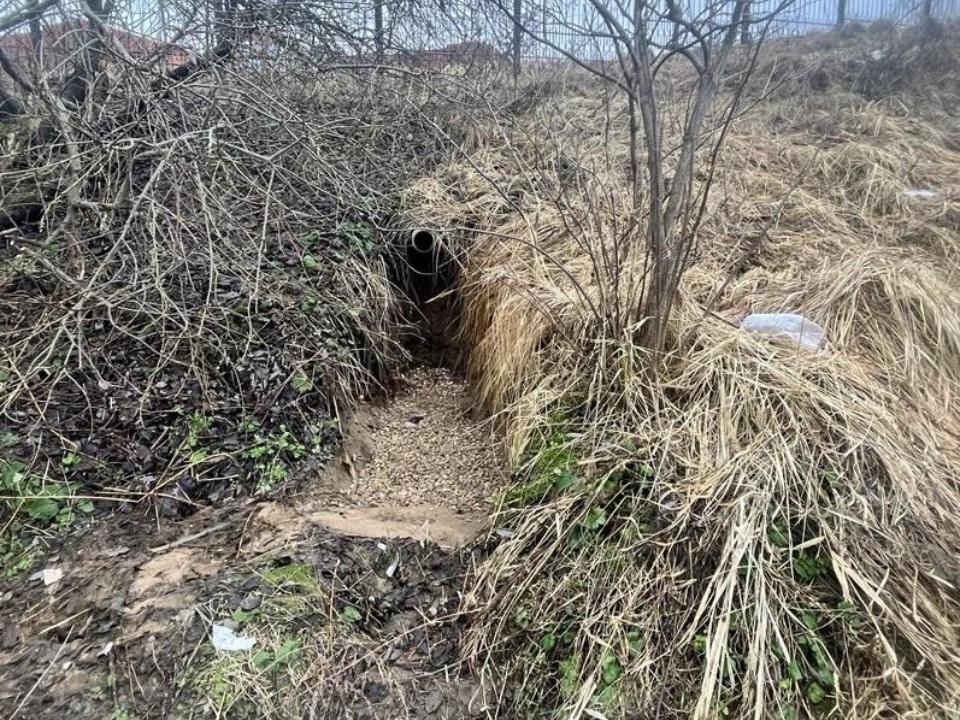 Экополицейский рейд: в Рузском округе выявили незаконный сброс сточных вод в деревне Палашкино