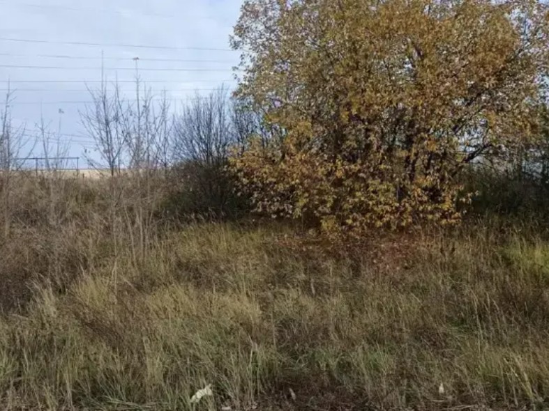 В Подмосковье продают участки для ИЖС, ЛПХ и бизнеса: рассказываем, что доступно и по каким ценам