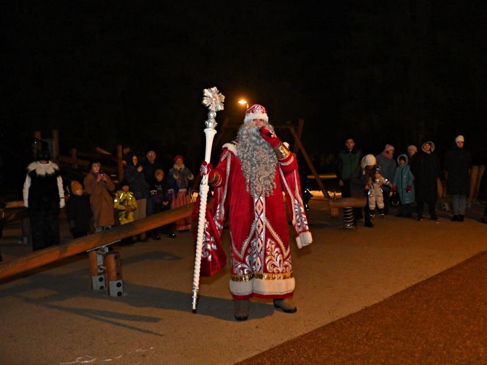 Семхоз встретил зиму: гигантская ель ожила в «Загорском море» и осветила лес