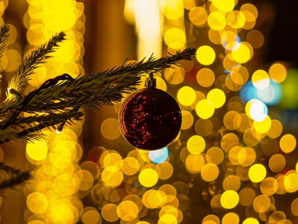 Выпускник «зажег» родную школу в Ногинске