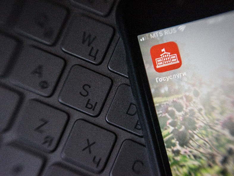 Топ-5 услуг недели на подмосковном портале: что жители региона оформляют чаще всего и как сделать это быстрее