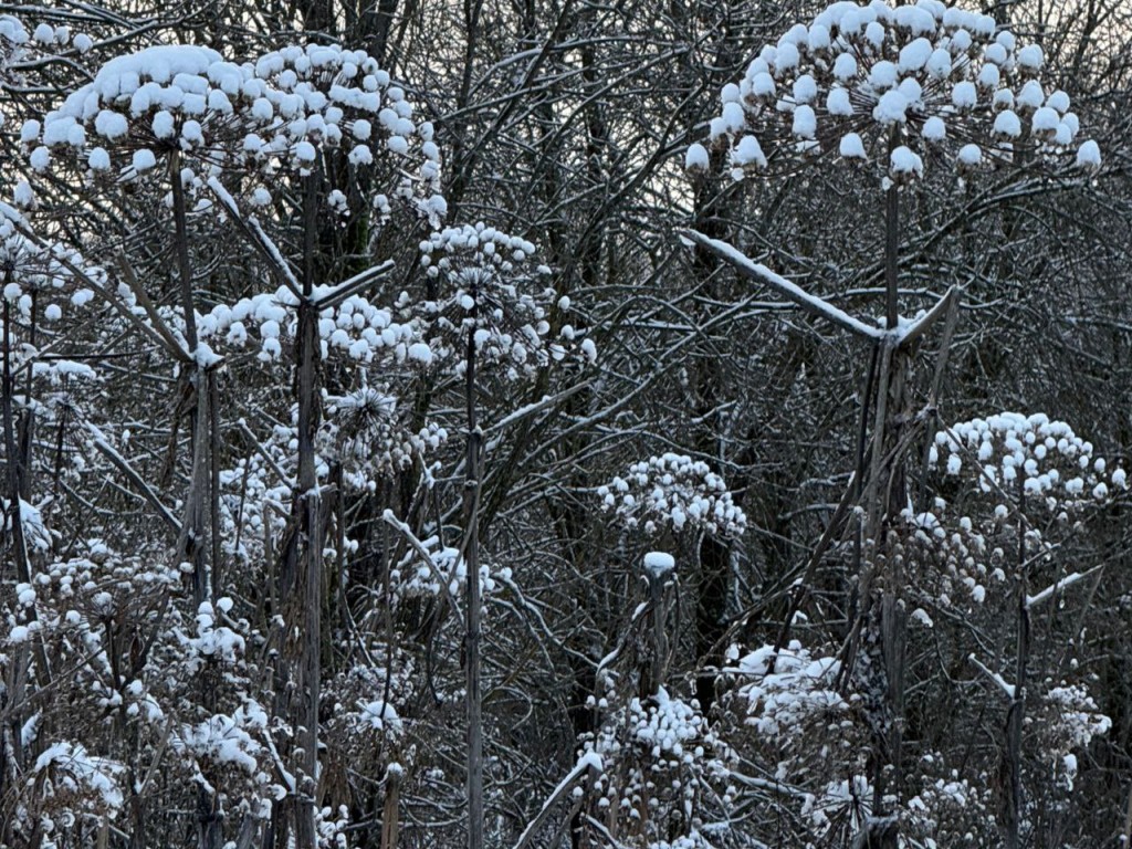 Тайна Федулова дня: почему 5 января дом закрывали на семь запоров?