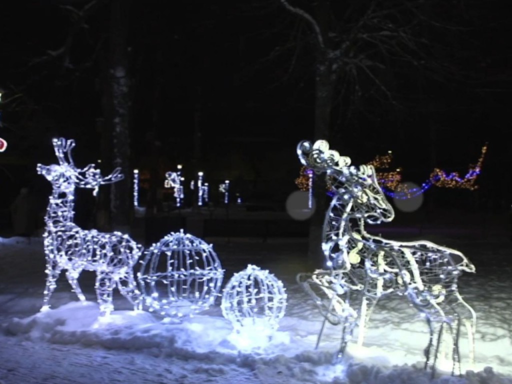 Увидеть зимнее волшебство и узнать, как встречали Новый год в древности, могут гости парков и ДК Талдома