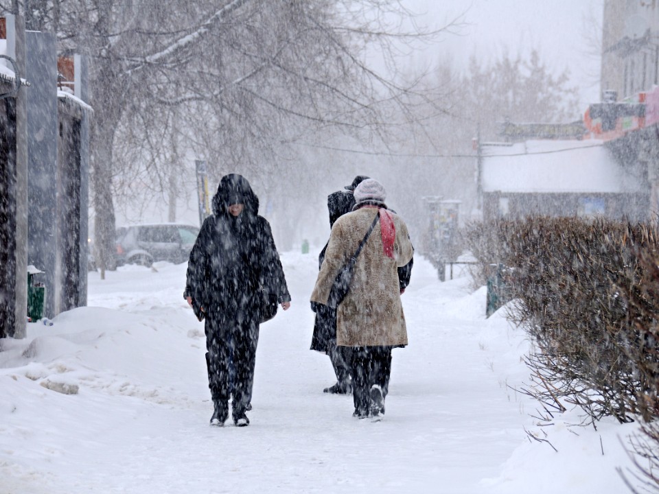 «Будьте готовы! Синоптик предупредил, что морозы и снегопады ждут жителей Подмосковье 24 декабря