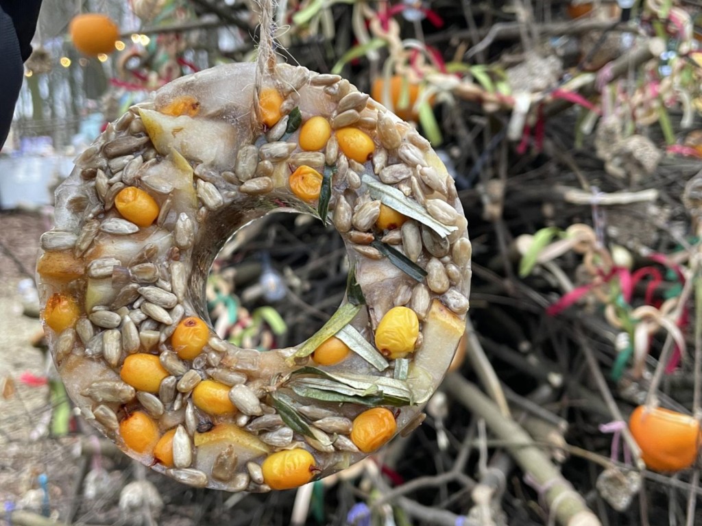 В усадебном парке Быково собрали елку для птиц и белок