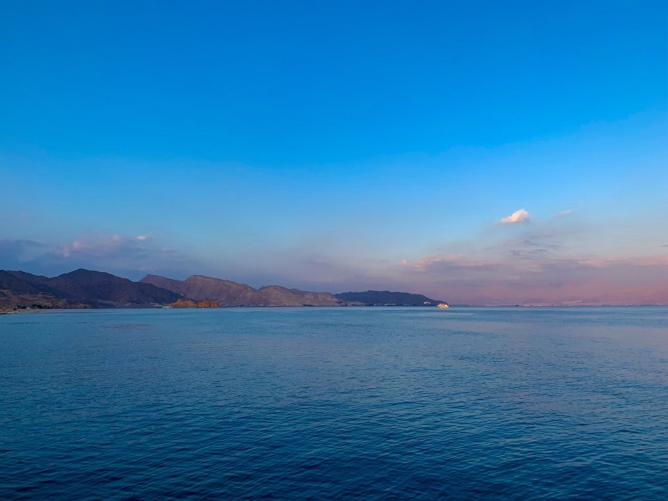 Почистили пляжи для вас: нейросети помогут жителям Подмосковья отдохнуть на море