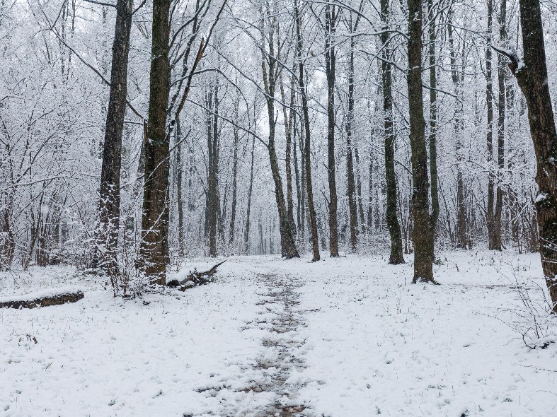 Лидеры торгов определены: какие округа Подмосковья предлагают самые интересные участки и где искать лучшие стартовые цены
