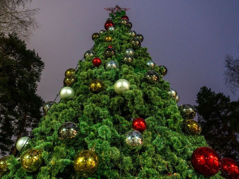 Атлантика «подогрела»: Вильфанд рассказал о причинах декабрьского тепла