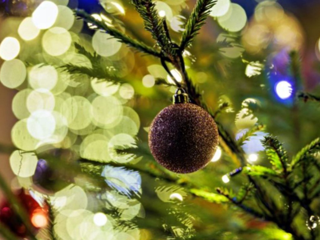 Заняться спортом и окунуться в новогоднюю ночь можно в Талдомском округе 31 декабря