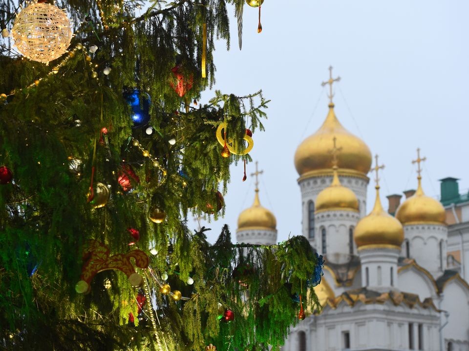 Когда привезут в Кремль главную новогоднюю елку страны