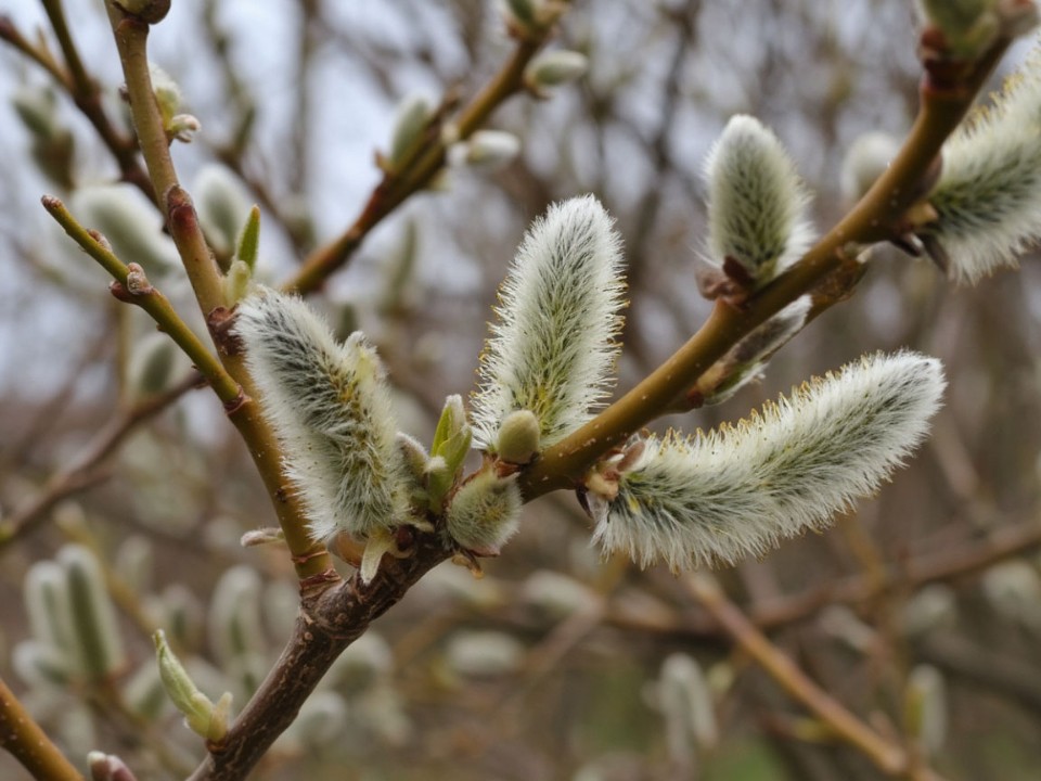 Чудо Господне: какое необычное природное явление можно наблюдать только 4 декабря