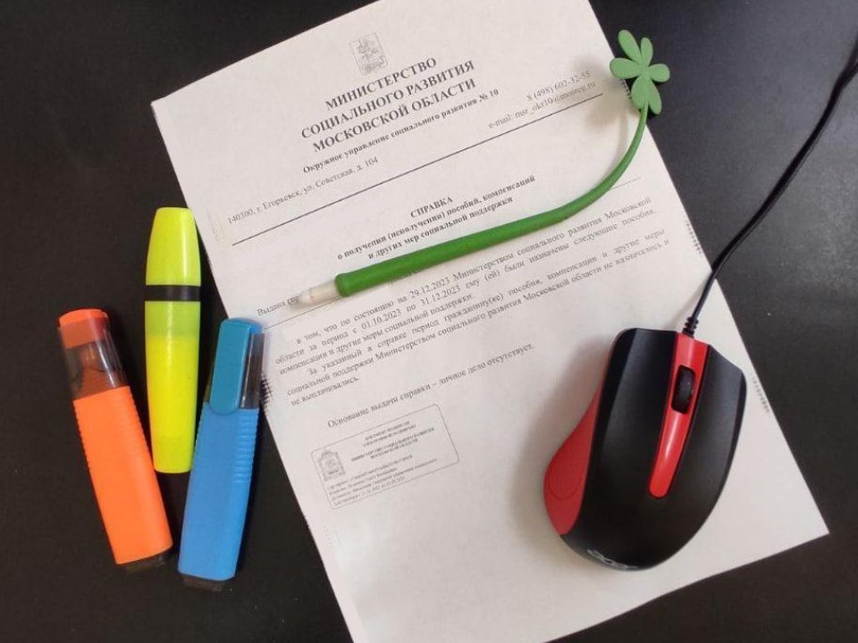 Главный дедлайн года для опекунов: как за 10 минут сдать отчет онлайн и избежать проблем