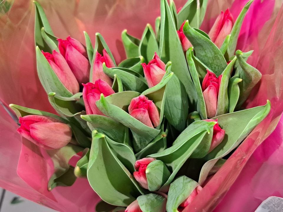 Звезда зажглась: фрязинская школьница стала лауреатом конкурса исполнительского мастерства