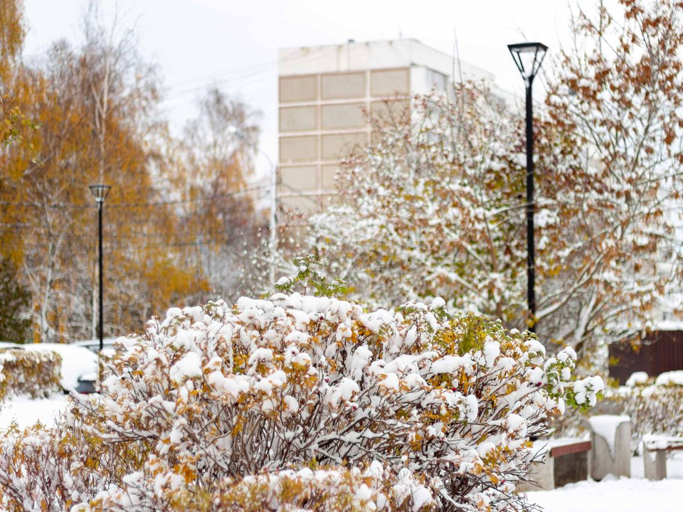 Зима в Кашире репетирует вступление в права