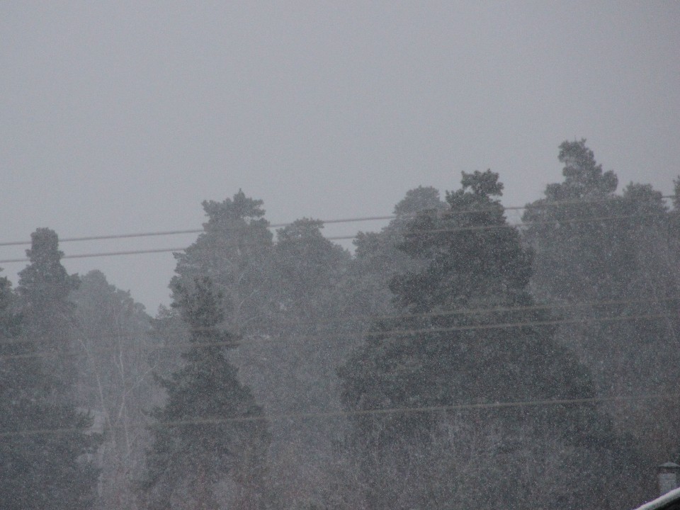 Снег с дождем пообещали егорьевцам до конца вторника