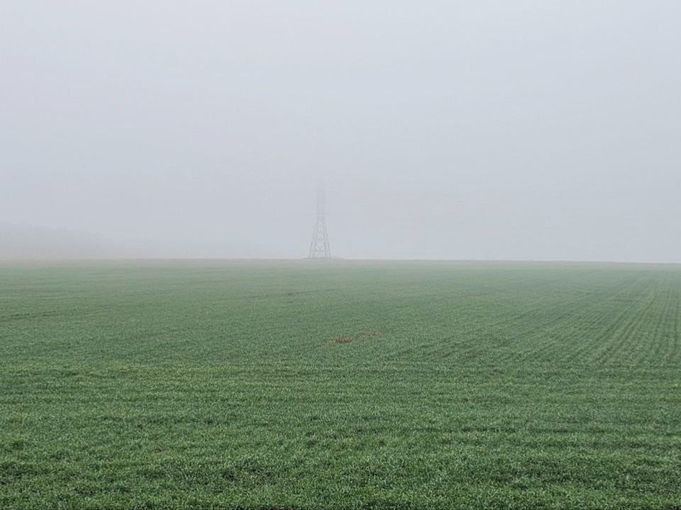 Озерские агрономы контролируют состояние озимых всходов