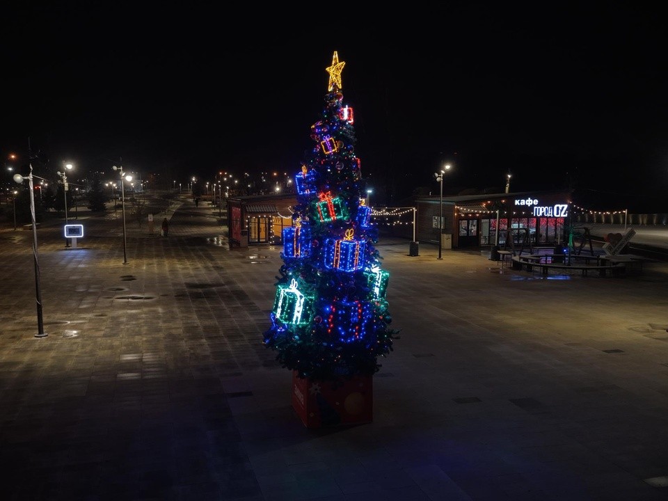 В Орехово-Зуеве украсили елку на берегу Клязьмы