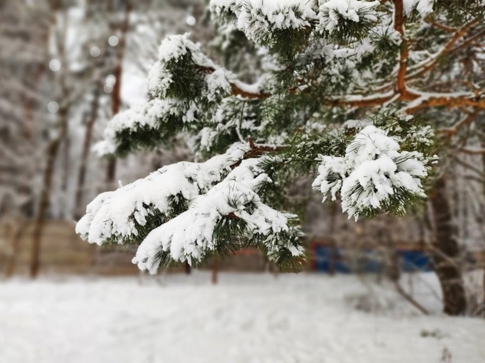 Снежный покров в Подмосковье: как долго продержится зимняя погода